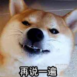 旺福侦探社第二期——“神奇”的胜利