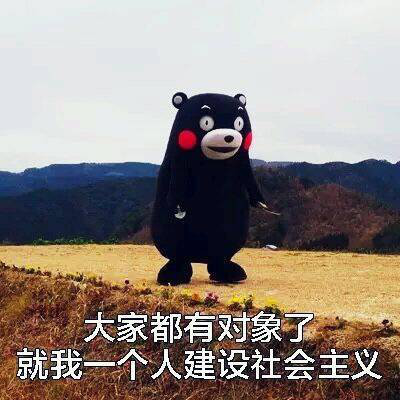 【已开奖】为爱应援——全棋子CP人气战