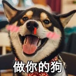 大神攻略丨新棋子次元行者，审判阵容新核心！
