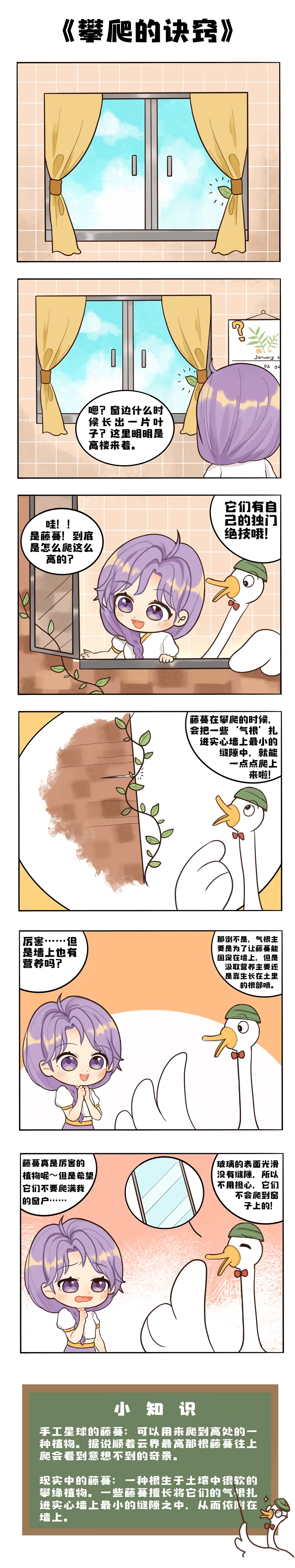 大鹅小课堂 ｜藤蔓可以爬到这么高，竟然是因为长了“脚”？