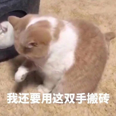 感谢曾经的付出，鼓起干劲继续前行吧！