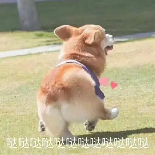 骑上我心爱的小马驹，带着草精一起去隐月谷踏青吧！