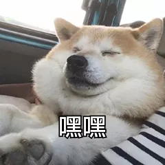 新的一年即将到来，少侠们想许下什么样的愿望呢？