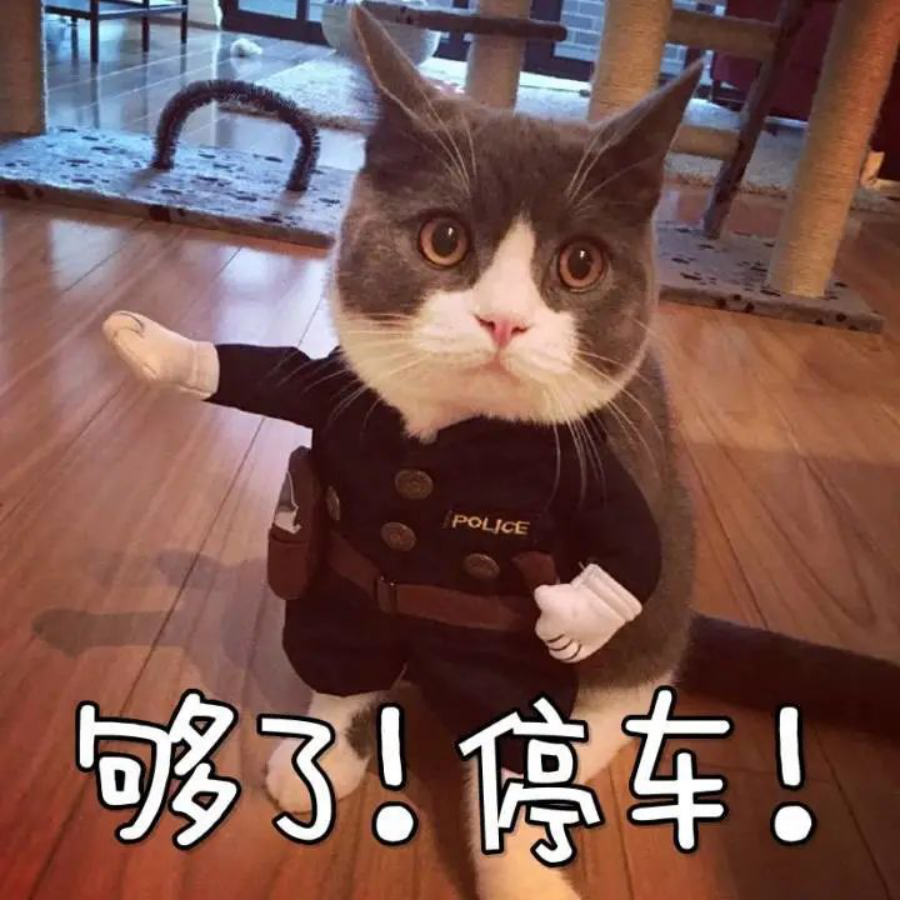 来到大荒清凉避暑胜地后，你最想做的事是……？