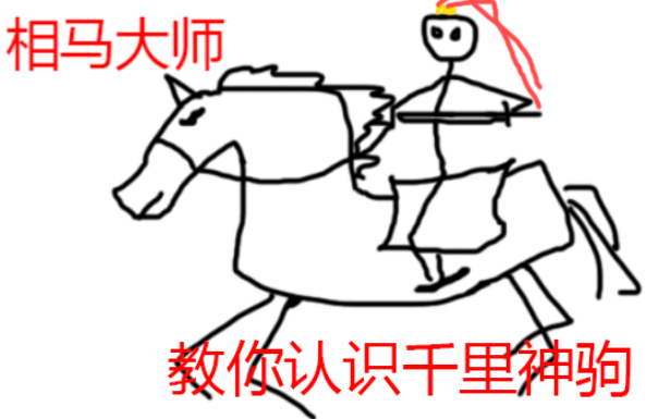 相马大师教你慧眼识驹-投稿人：鹿无情