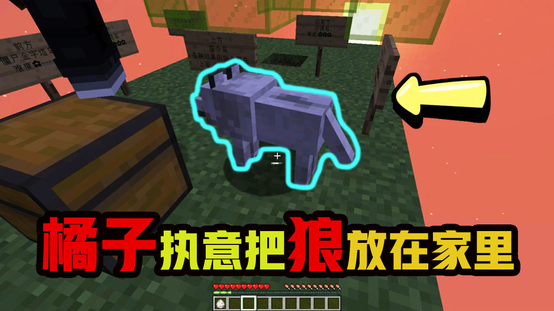 我的世界：空岛生存历险记，橘子执意把狼放在家里，结果遭受攻击