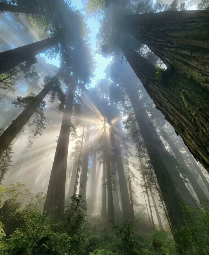 要照片的拿走。