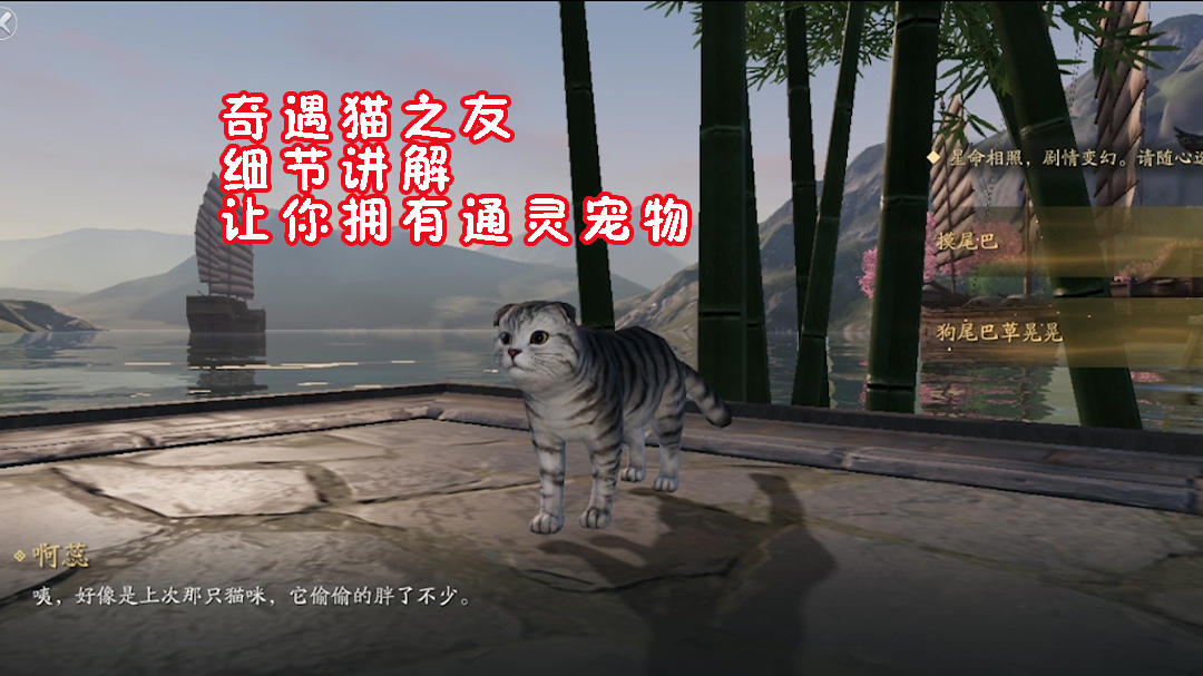 天涯明月刀手游：奇遇猫之友，细节讲解，让你拥有通灵宠物