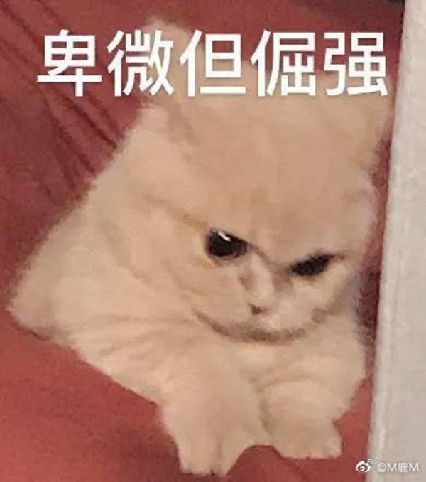 【话题互动】节后不想上班综合症，事务所订单爆满了！