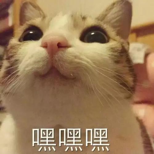 【赏金任务】大雪暖冬，老三样你喜欢谁？