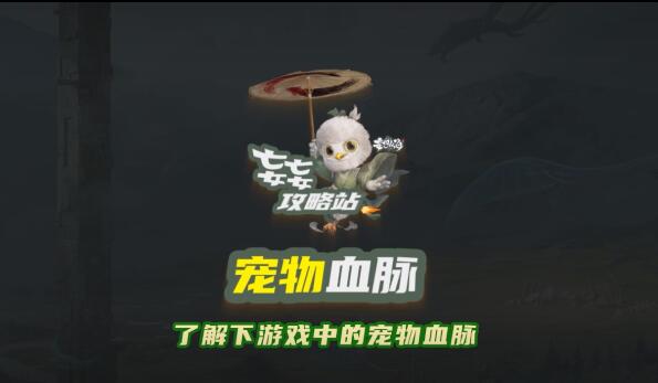 【妄妄攻略第20期】宠物血脉技能介绍