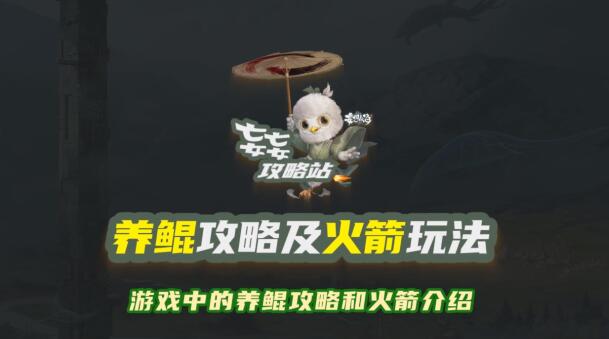 【妄妄攻略第6期】养鲲攻略及火箭玩法
