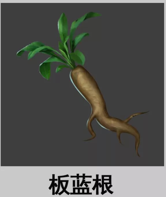研发日志 | 第十二期：博物志系统首曝！新“姿势”你get√了吗？