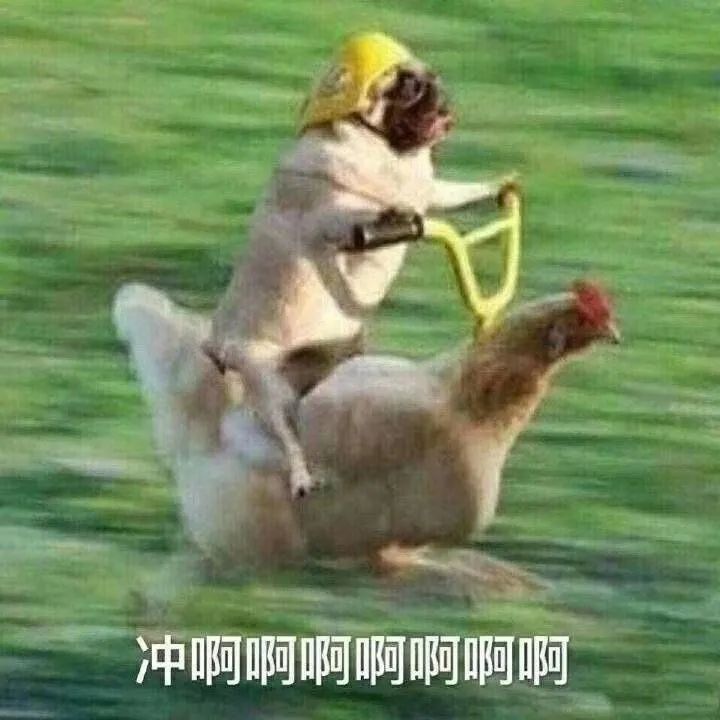 活动抢先看|又帅又能打！19小贝登临绿茵！