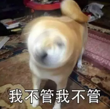 《灵猫传》灵猫图鉴大合集，你喜欢哪一只猫咪呢？