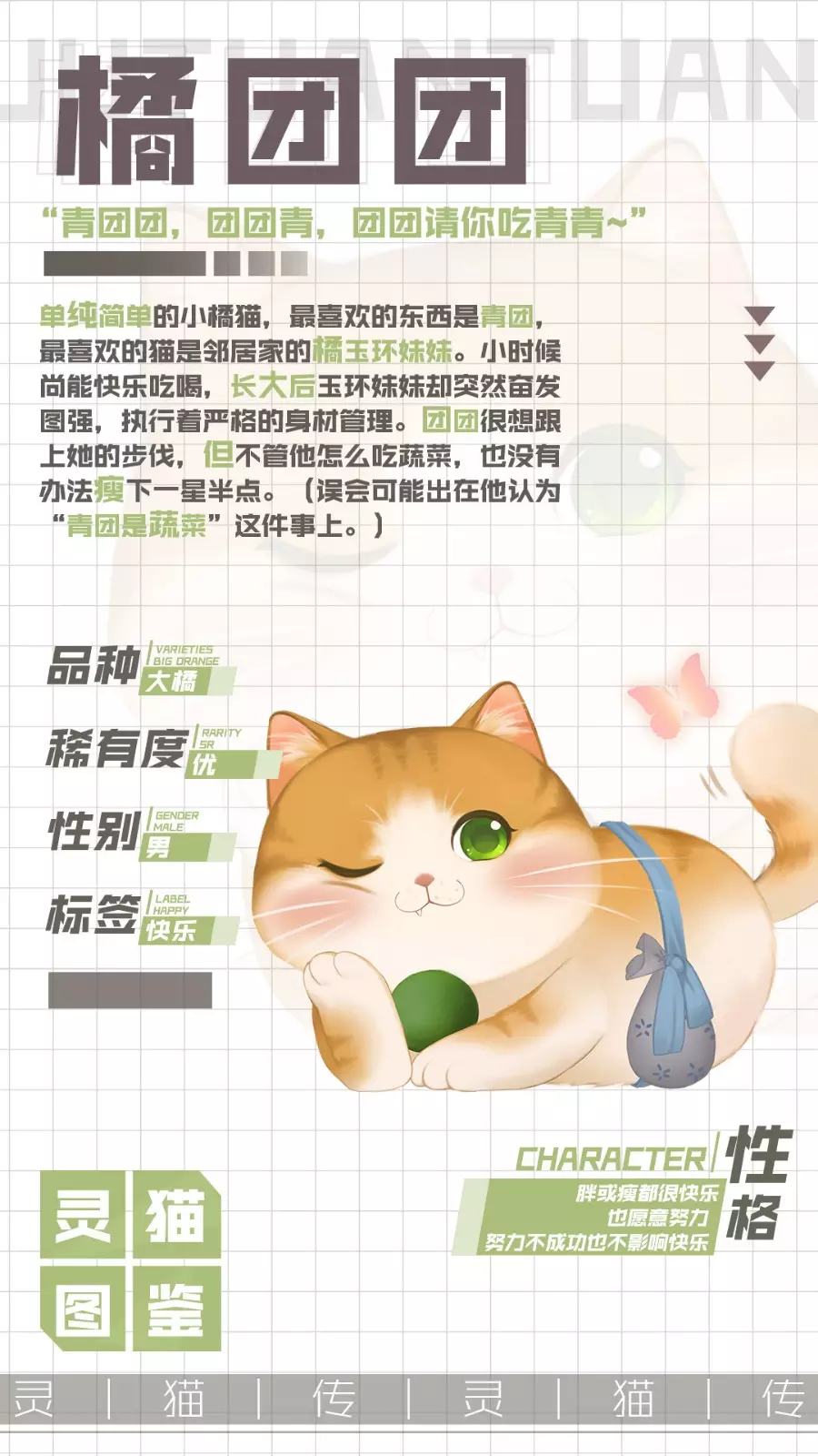【灵猫图鉴】优 每天都有简单的快乐——橘团团！