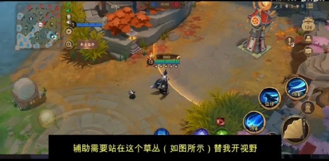 “只要都懂如何通关下路，我俩定能默契十足！”