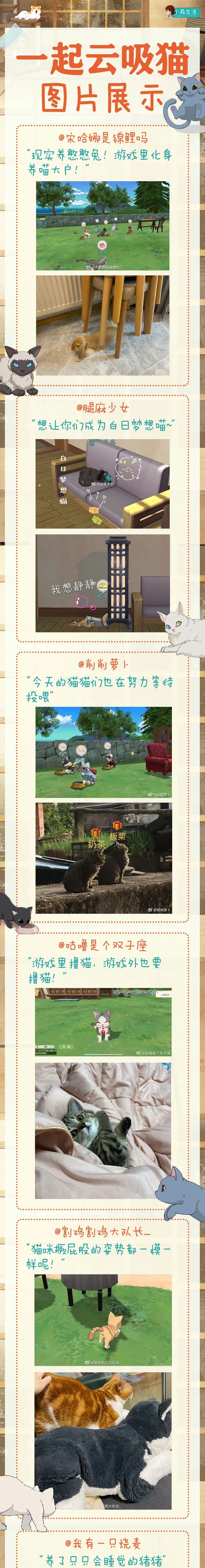 卖萌可耻但你会中招，放弃抵抗和我一起来吸猫！
