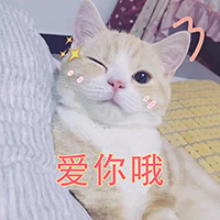 球球英雄9月25日版本更新公告