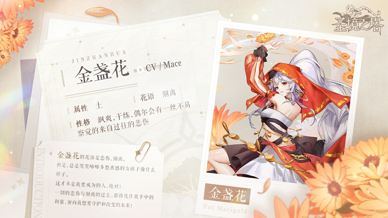 【花灵档案】金盏花专属档案曝光