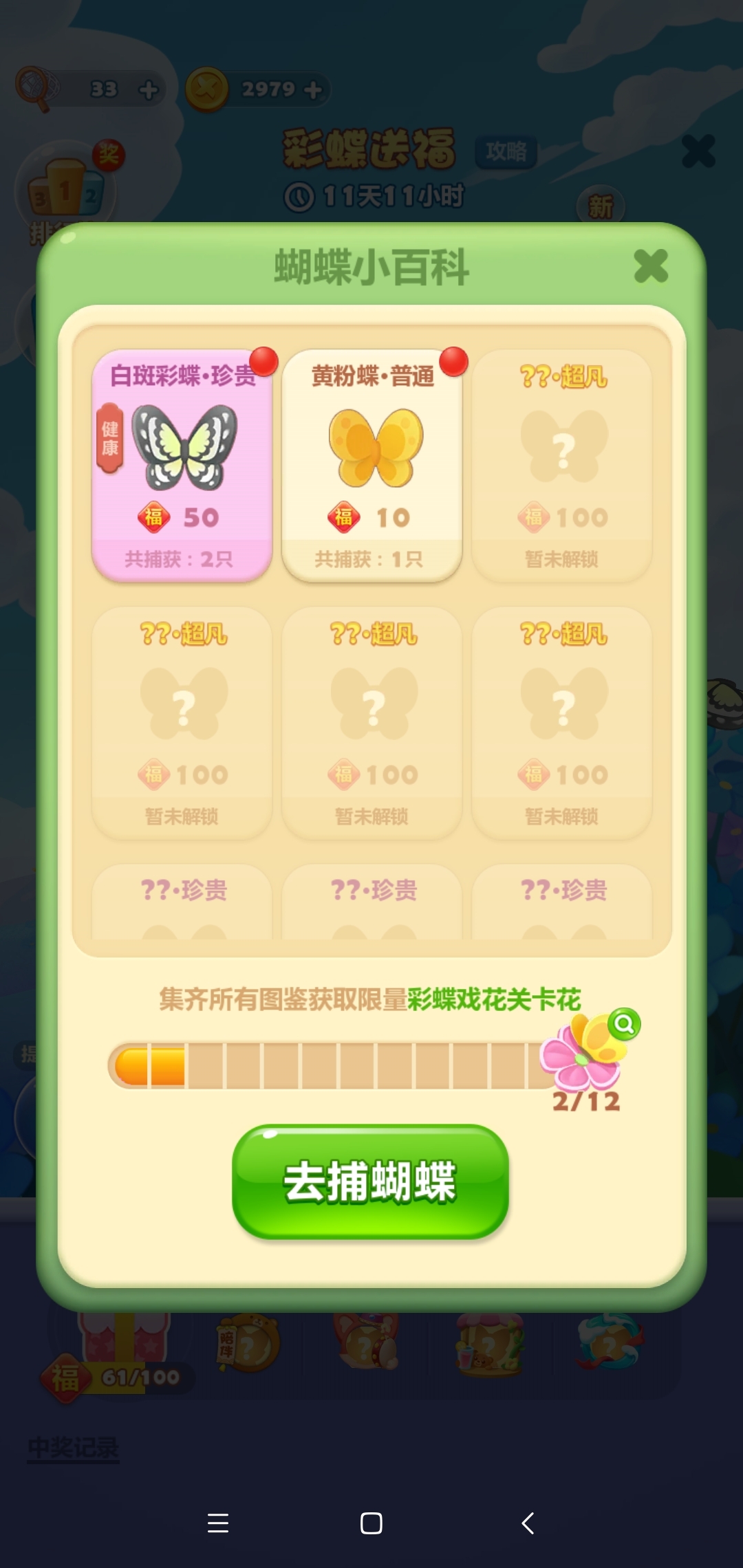 就捕捉这几只蝴蝶