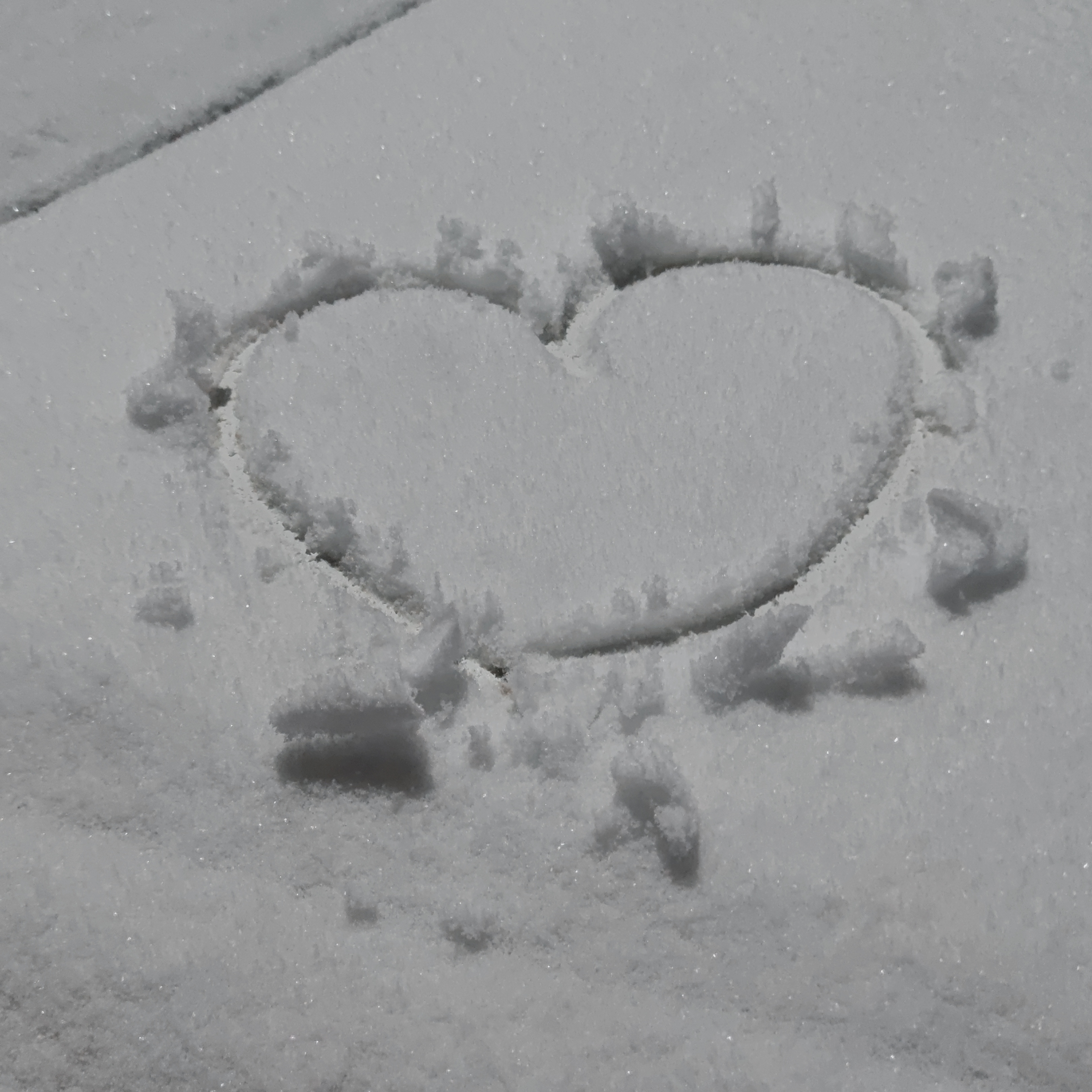 下雪了 可惜还是一个人 小米游戏中心 下雪了 可惜还是一个人 小米游戏中心