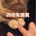 【问仙-第三期】仙寿亿年，作为关门弟子的我这双眼睛经历太多了（我愿称之为最强融梗杂文）