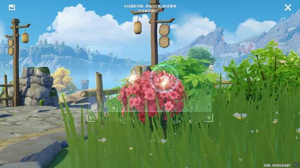 【活动攻略】福至五彩 day 1,今天的采集物你找到了吗 - 原神攻略