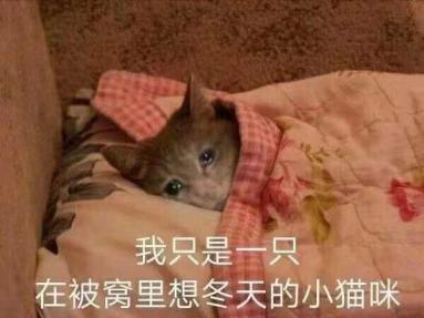 小猴科普丨《宝莲灯》讲述的是一个怎样的故事嘞？