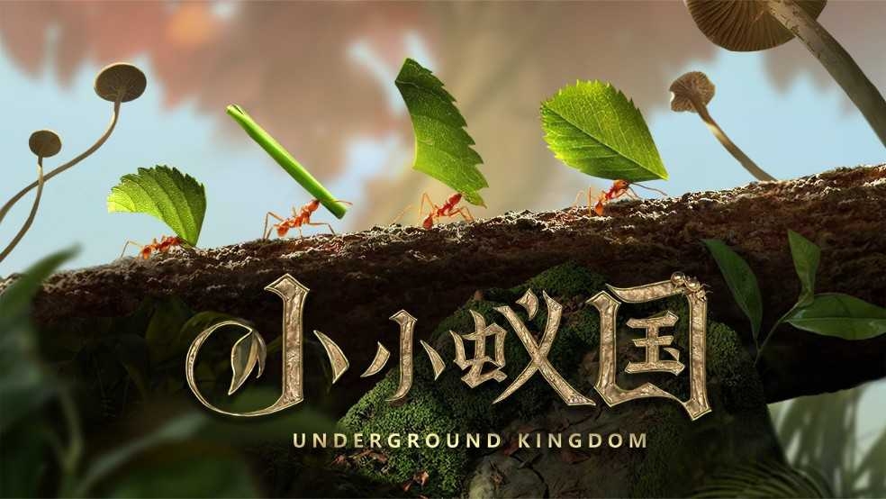 蚂蚁帝国是怎样的