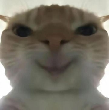 招人咯~~~