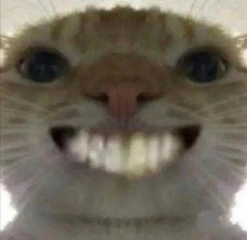 招人咯~~~