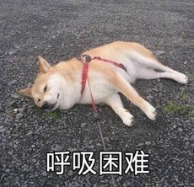 开学两周😶的精神状态。。。