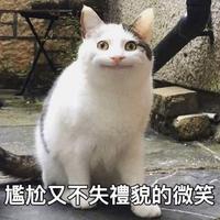 官方什么时候添加加好友聊天啊。