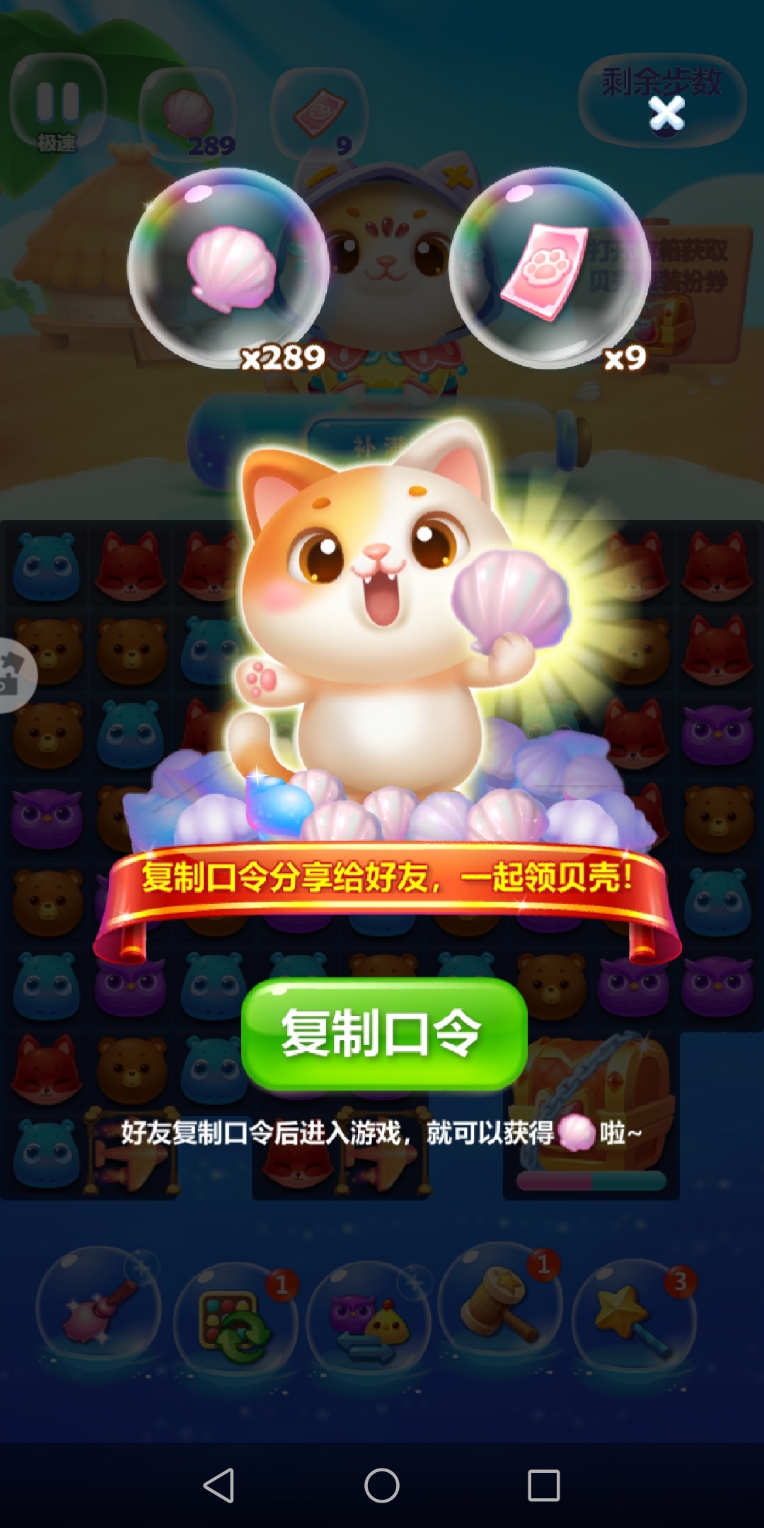打大猫了！！！