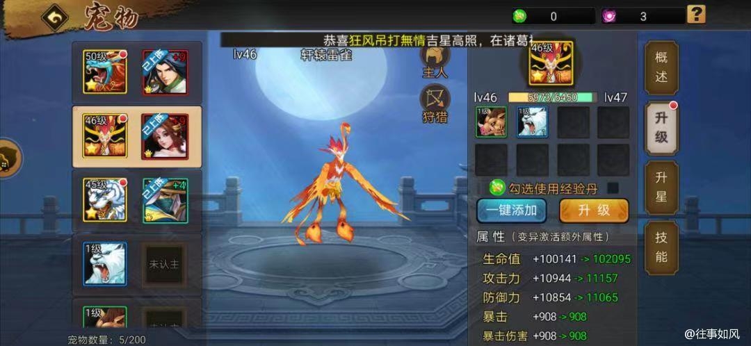 【攻略分享】宠物系统