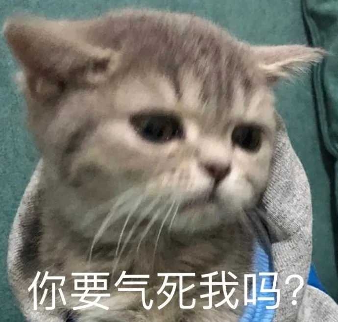 别把童年回忆拉出来了球球了