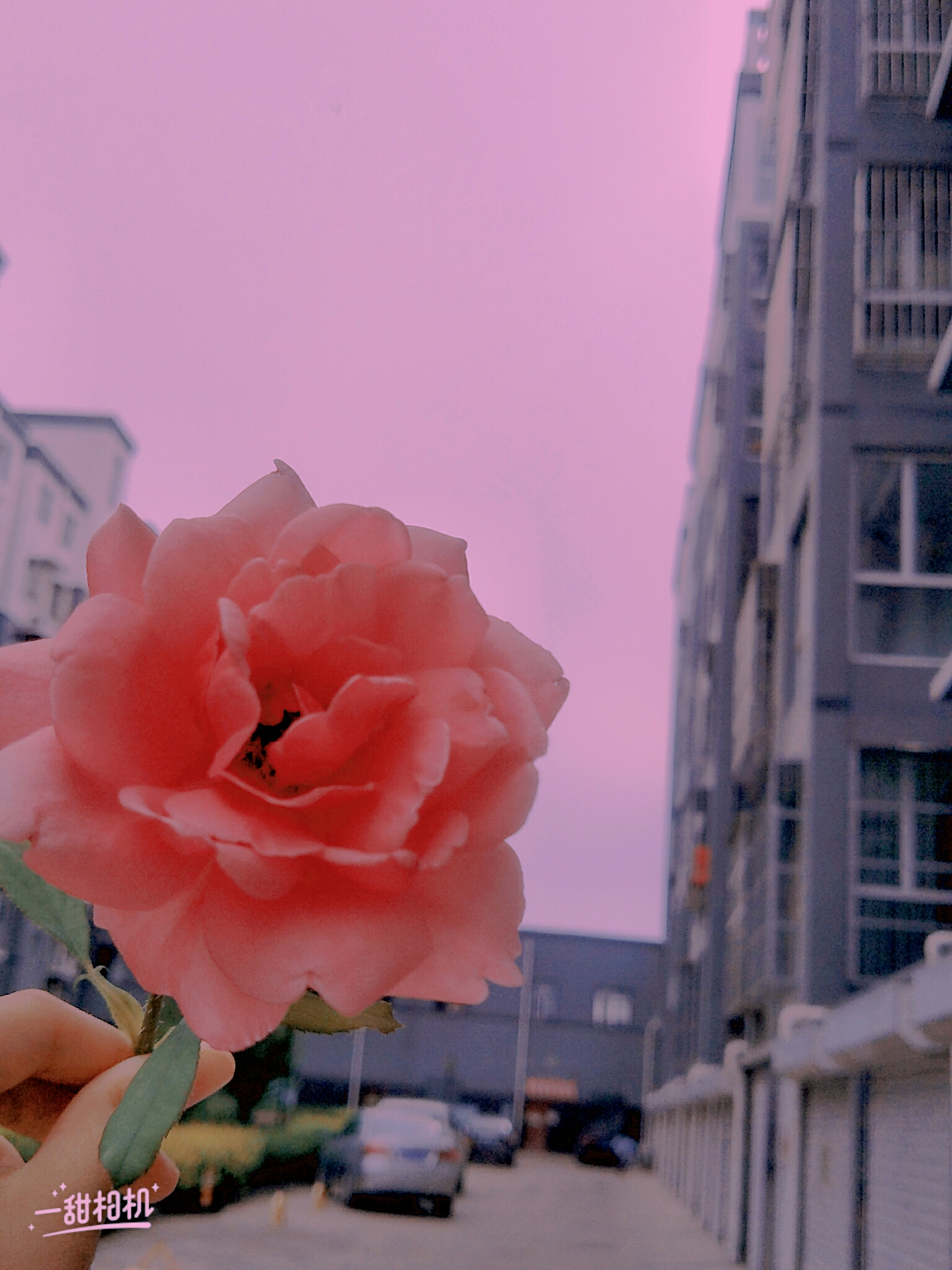 那些被反复退稿的新人作品普遍存在哪些问题 (那些被反复退出的游戏)