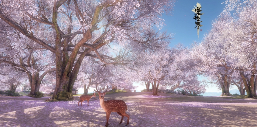 好美的地方啊！