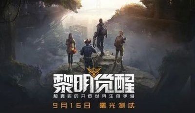 自由度高吗？