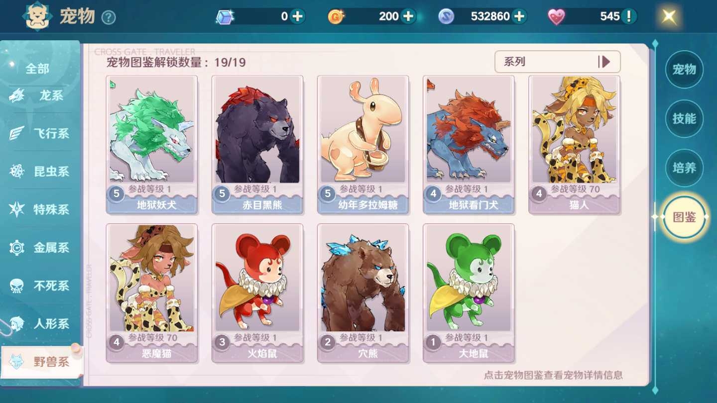 感觉宠物挺多的