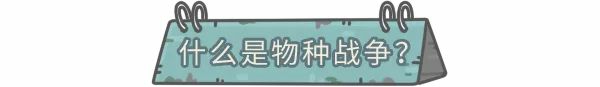 物种战争玩法
