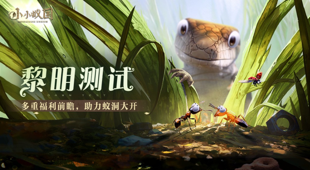 这资格咋搞的 ？