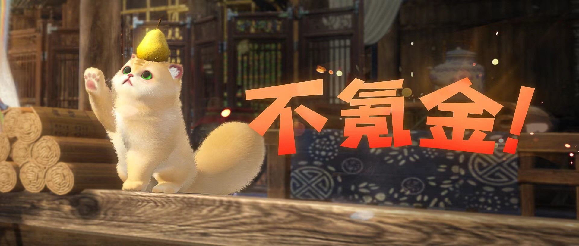 把这猫咪送给我吧～