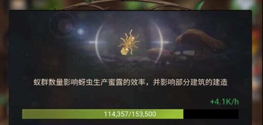 蜜露是什么？
