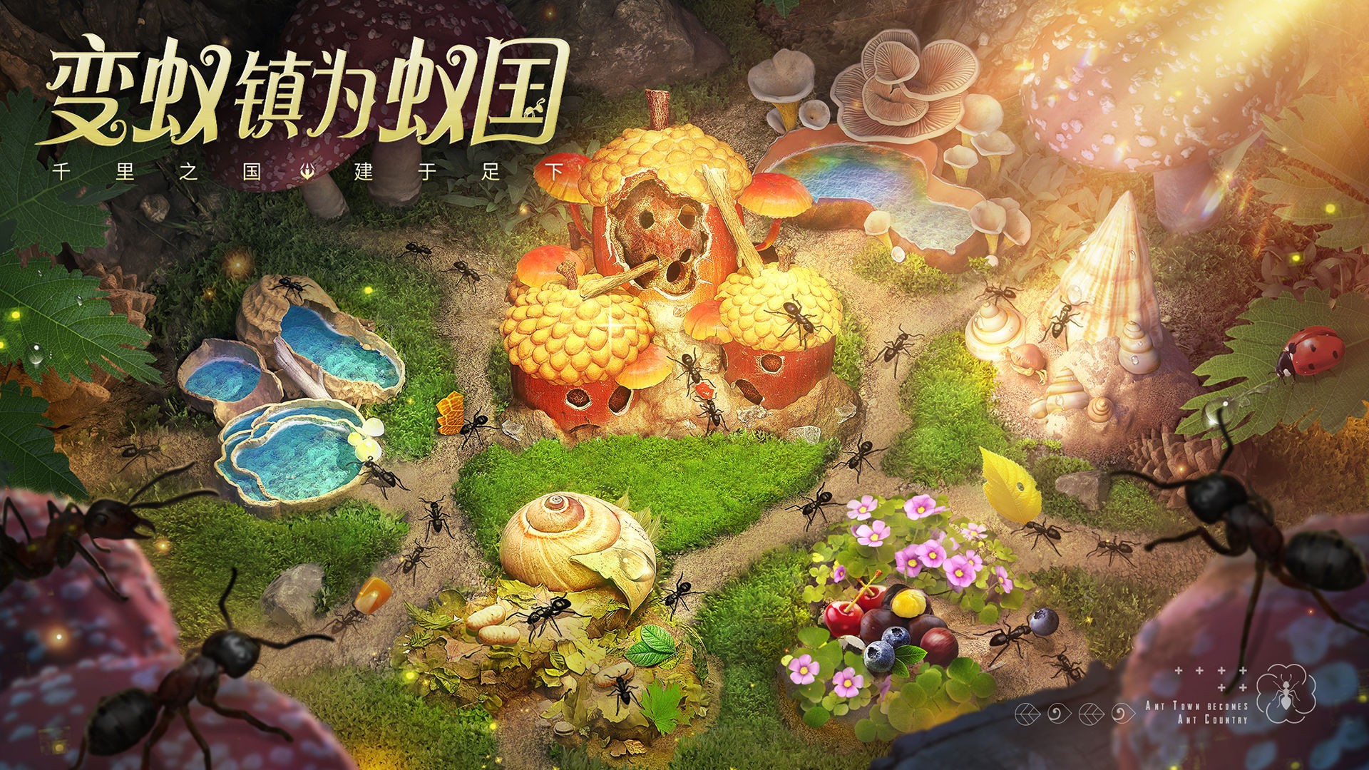 又是养成？