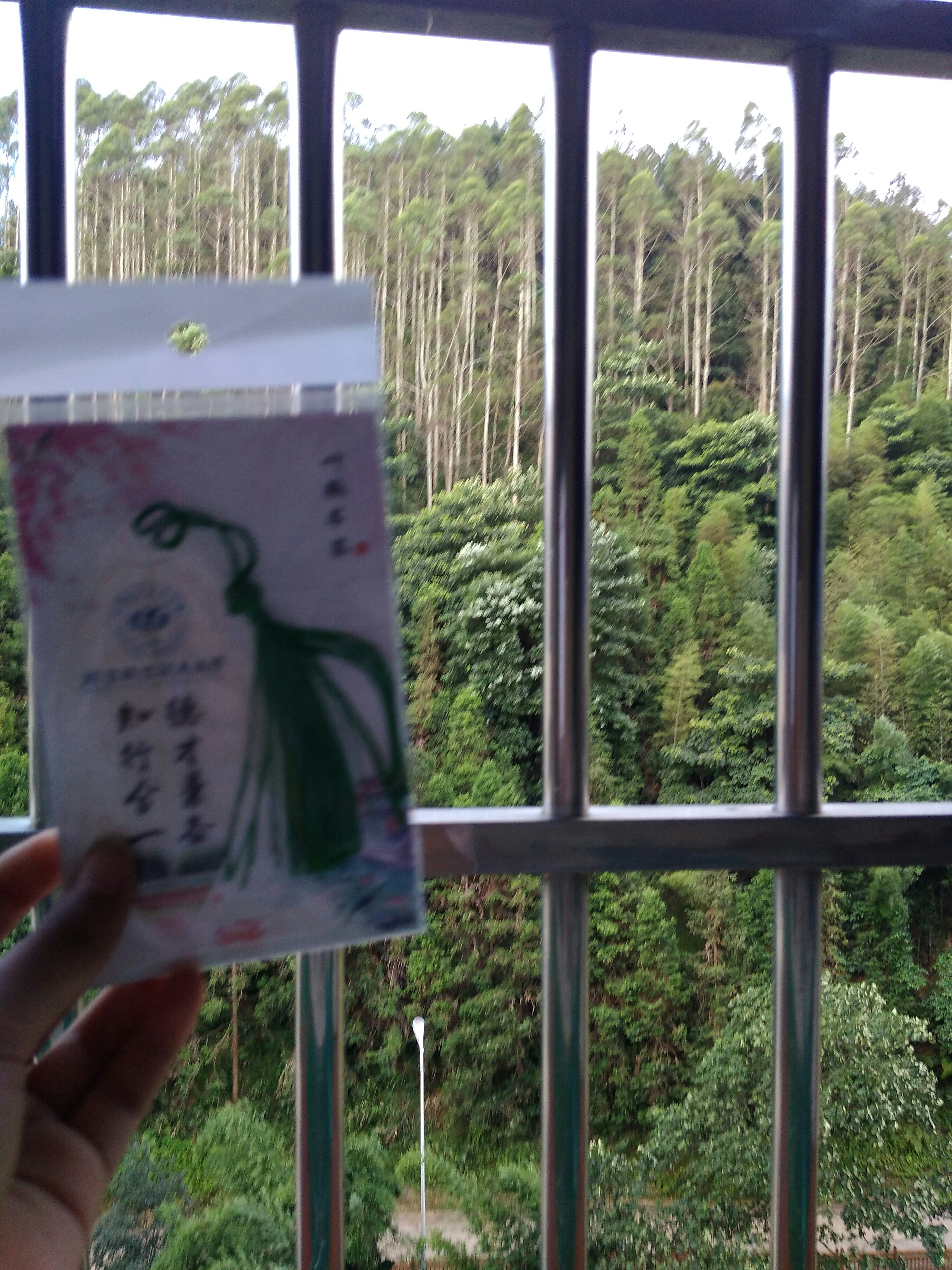 喜欢😽🌷