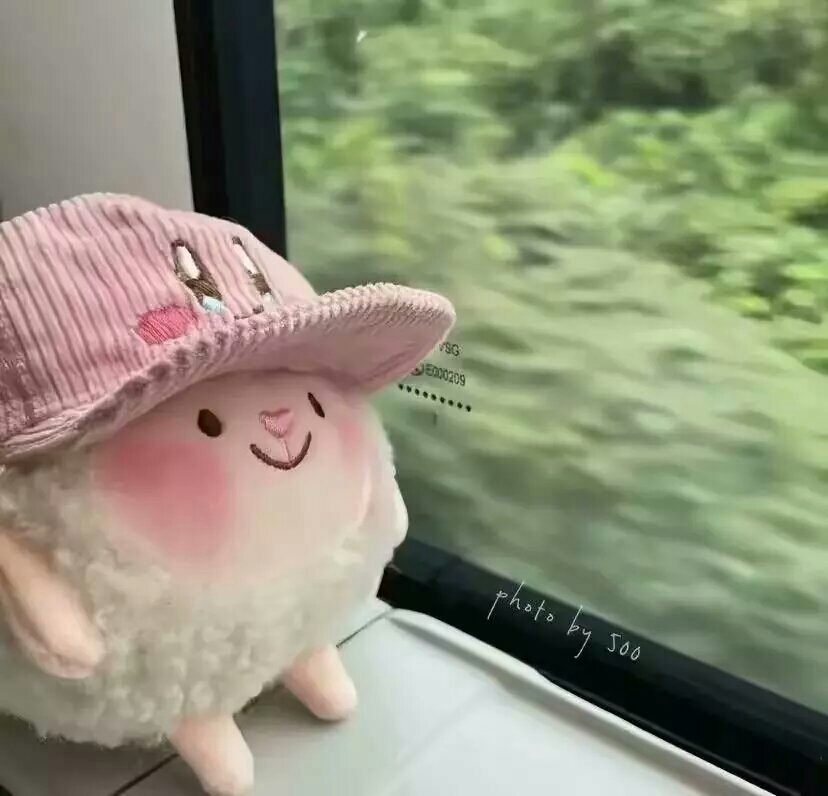 窝回来啦🐒🌹