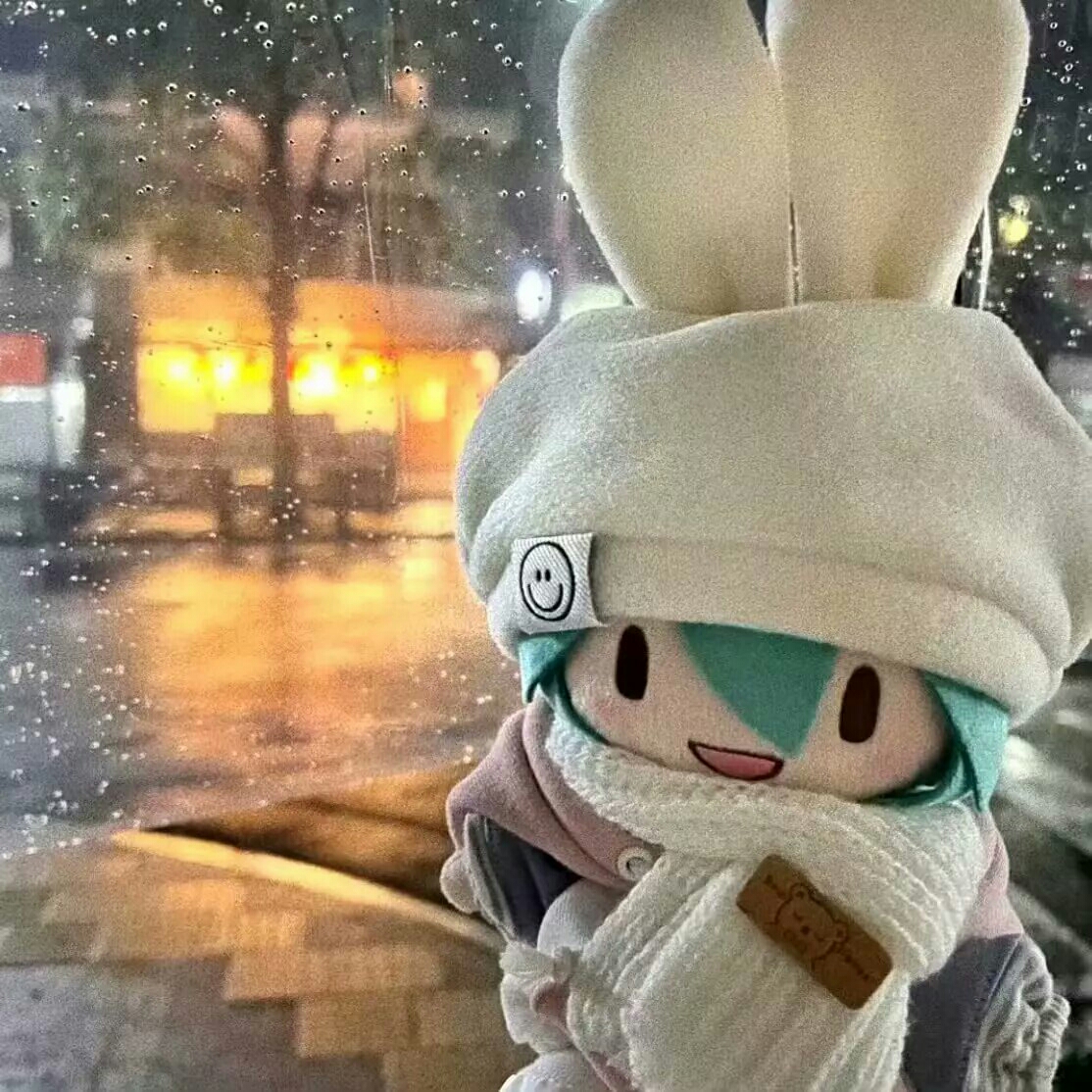 你们端午吃粽子嘛，我喜欢吃肉馅，我今天就吃了粽子肉馅滴💩✌