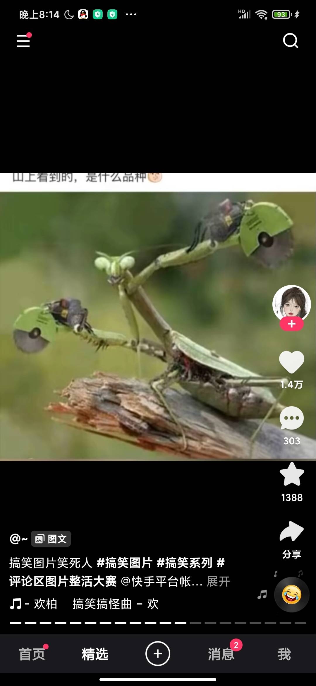 给个内侧资格球球了